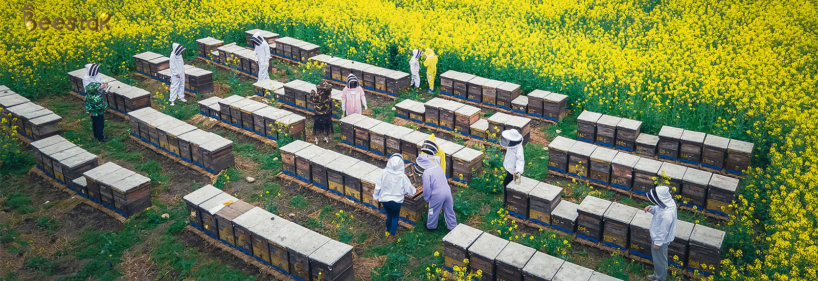 качество Естественный мед пчелы завод