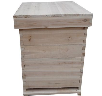 Крапивница пчелы высококачественной китайской ели деревянная легкая для того чтобы собрать естественный улей Dadant материала