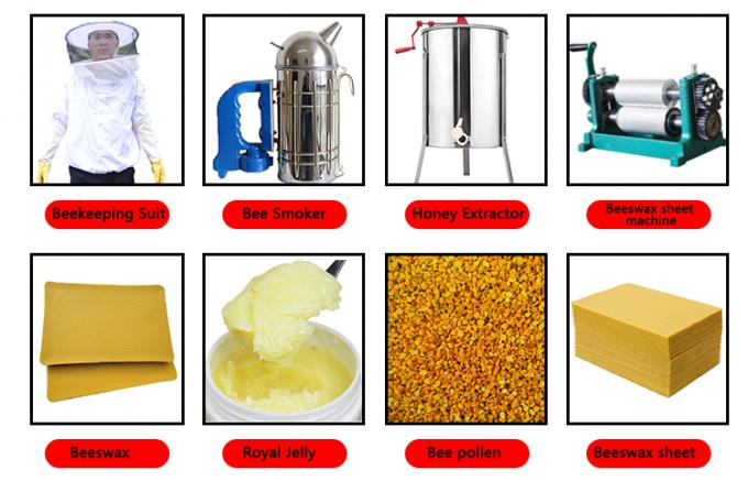 Коробка пчелы меда шестиугольника форменная пластиковая только обрамляет рамки гребня меда учреждения 3