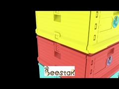 Пищевой пластиковый термоулей на 10 рамок с пыльцеуловителем, двухслойный улей для пчел