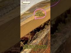 Прополис подходит для ежедневного ухода за здоровьем и оздоровления. Это «естественный защитный щит».