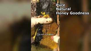 Почему черный мед — идеальный суперпродукт для вашей кладовой