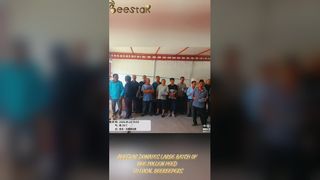 Чистая сырая пчелиная пыльца в гранулах высшего качества, суперпродукт