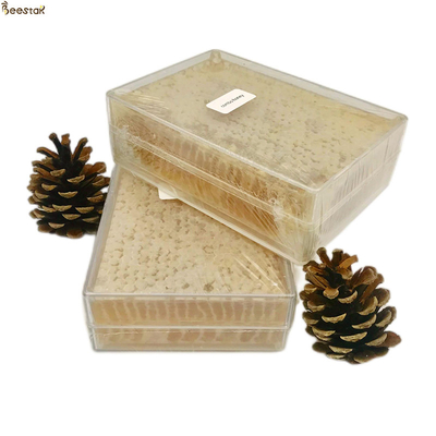 Купить Натуральный пчелиный мед от Beestar. 100% натуральный и вкусный сотовый мед для непосредственного употребления. онлайн изготовление