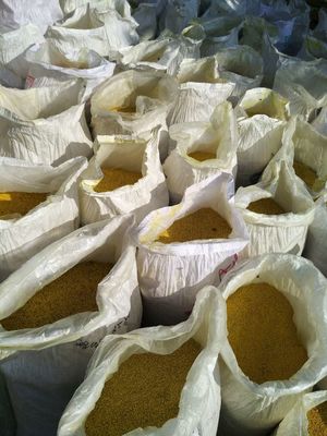 Купить Чистая натуральная пчелиная пыльца, обязательная для любого экологически сознательного человека. онлайн изготовление