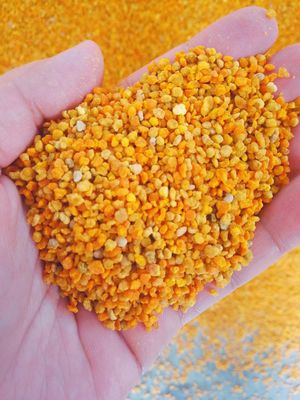 Купить Смешанная свежая сырая пчелиная пыльца, полная Nutricion Big Granual онлайн изготовление