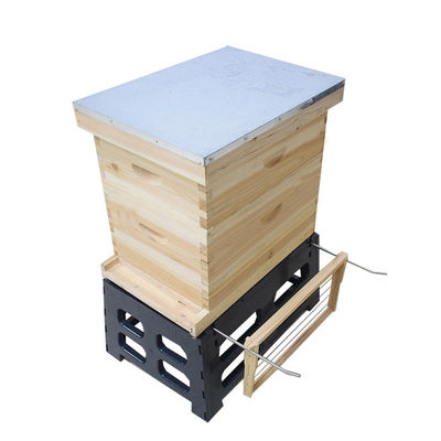 Купить Держатель крапивницы пчелы кадра кадра 10 Apiculture 8 онлайн изготовление