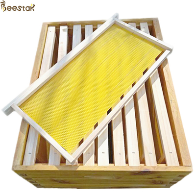 Купить Ранг воск улья учреждения Beeswax обрамляет основание покрывает листы Beeswax гребня пчелы онлайн изготовление