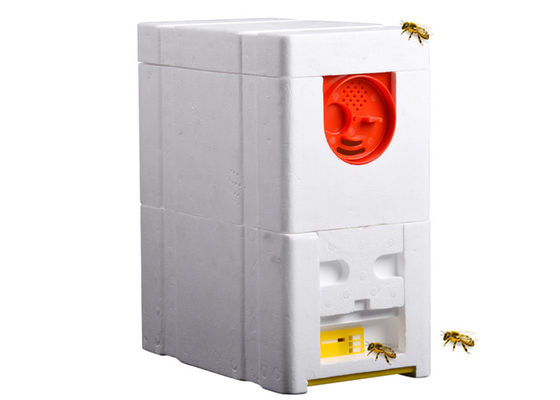 Имя